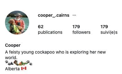 Capture mobile du haut d’un profil Instagram — Canada