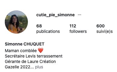 Capture mobile du haut d’un profil Instagram — France